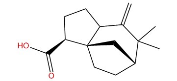 Khusimyl acid